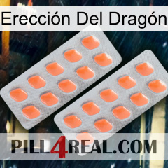 Erección Del Dragón 27